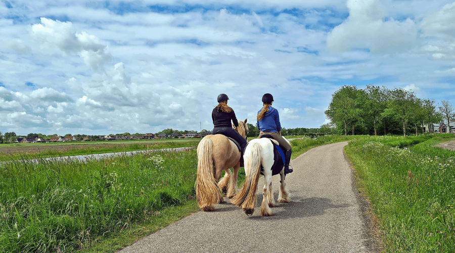ROM-regels voor het trainen, berijden en africhten van paarden: wat moet je weten?
