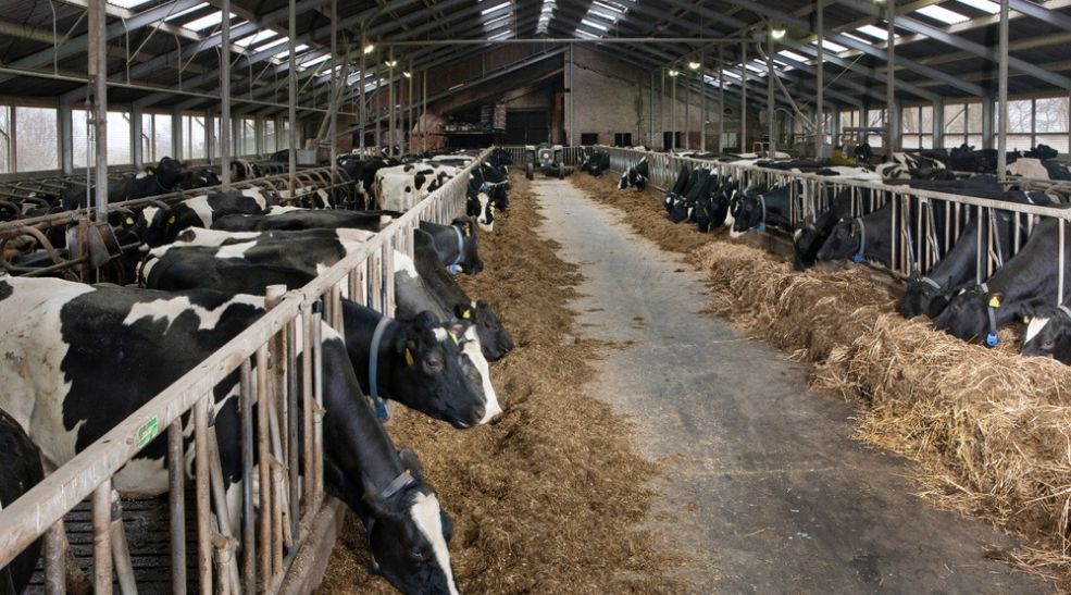 Meer duidelijkheid over uitfasering emissiearme stalvloeren 