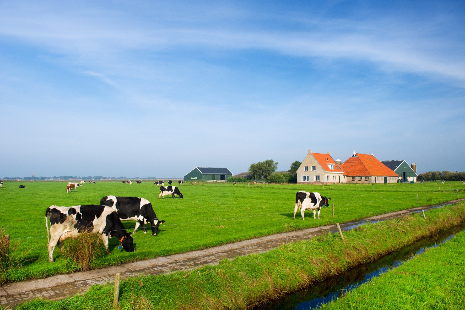 Opkoopregelingen: de eerste ervaringen