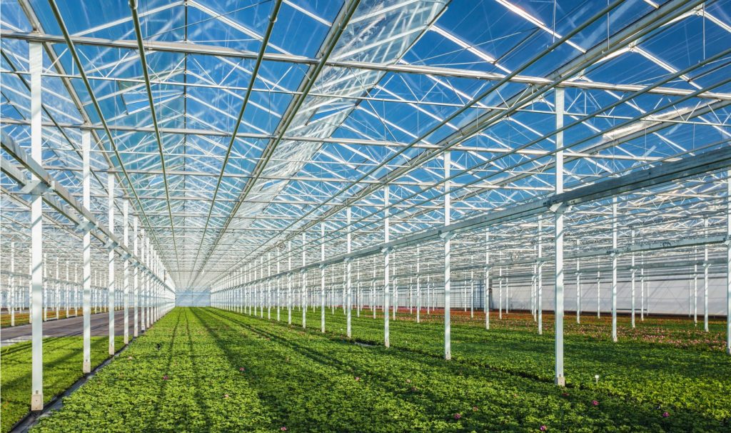 Glastuinbouw: ineens heb je ‘stikstof’ nodig!