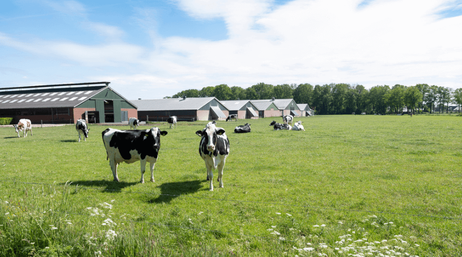 Milieu in de Omgevingswet: dit verandert er voor jou