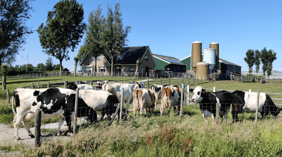 Monitoring: dé uitkomst voor het verkrijgen van een vergunning?