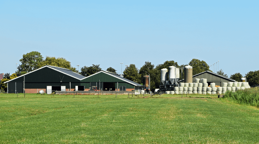 Rpgb: nieuwe subsidieregeling voor stoppende veehouderijen