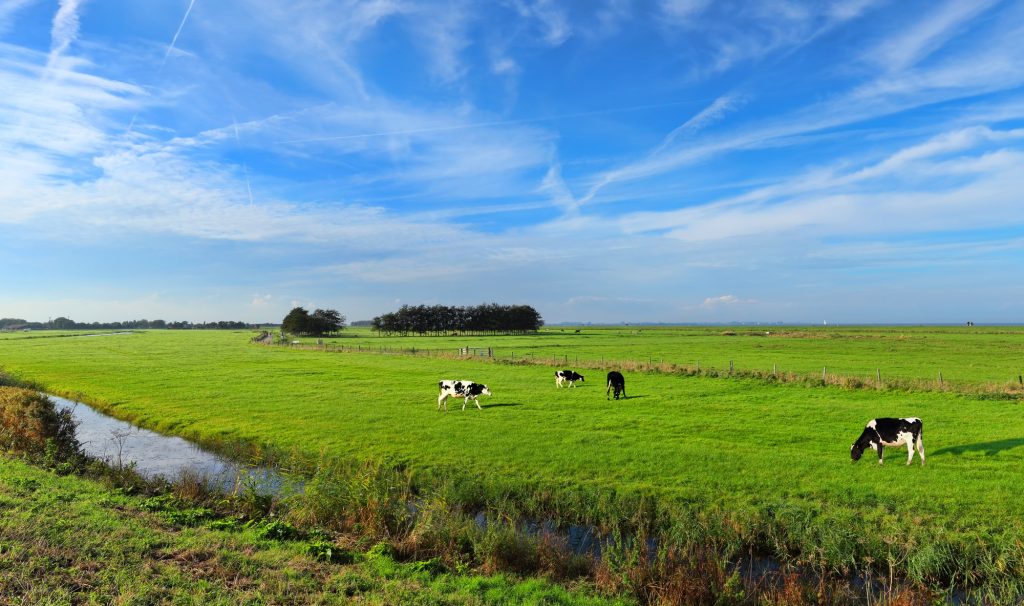 Minister verlengt de opkoopregeling voor piekbelasters