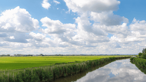 Raad van State wijzigt vaste rechtspraak intern salderen