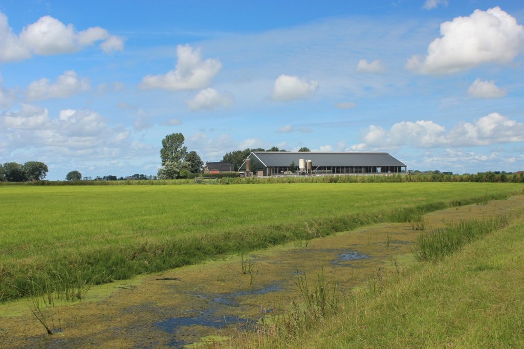 Stikstofupdate: Piekbelasters en latente ruimte