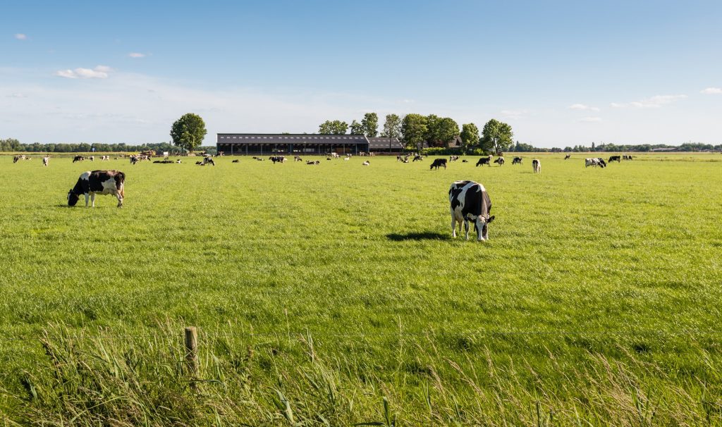 Minister Wiersma presenteert plannen voor stikstofreductie en emissiedoelsturing