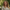 Eline Prins