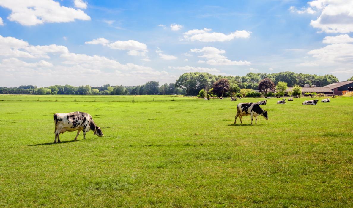 Beëindigingsregelingen LBV en LBV+ goedgekeurd