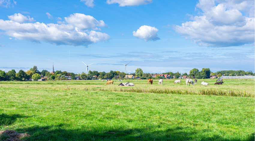 Raad van State: ook bedrijfssituatie speelt rol in beoordeling geurhinder