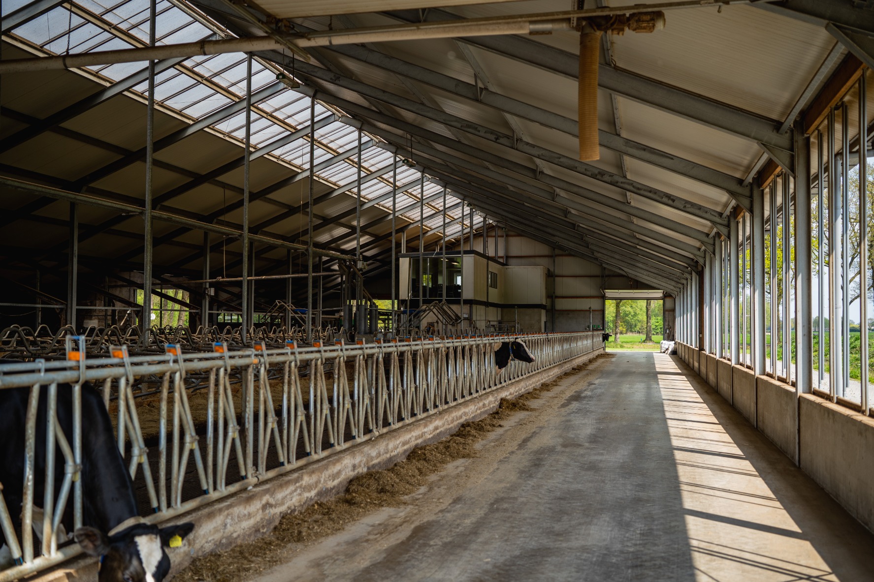 Innovatie en borging van emissiearme stalsystemen: wat verandert er na de kamerbrief van 30 juni?