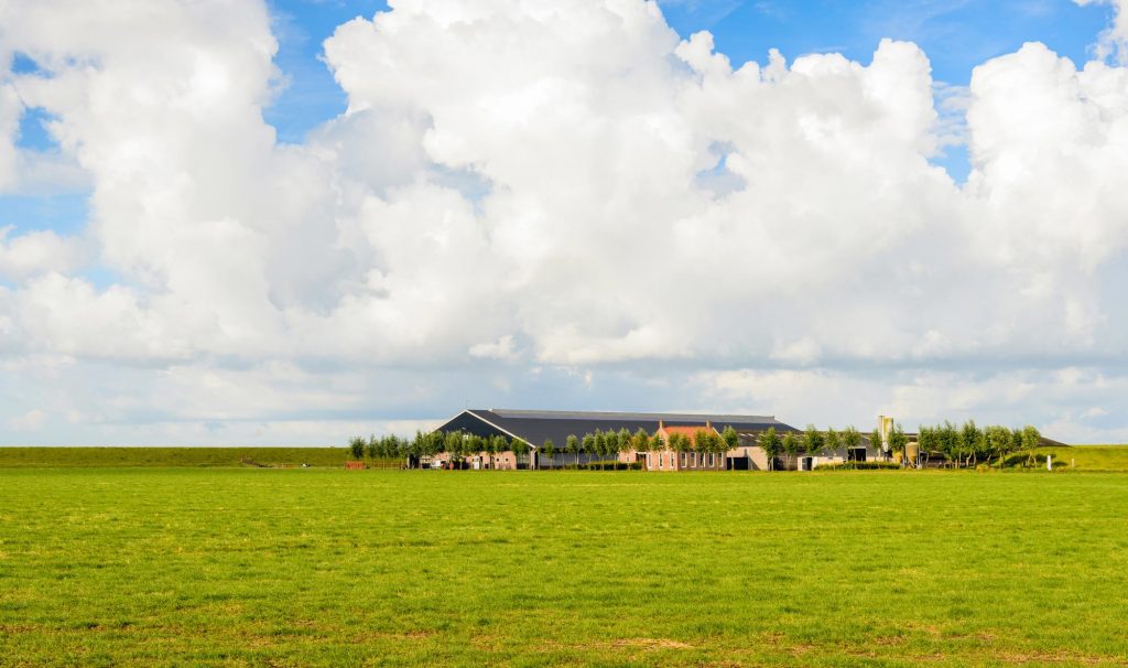 Nieuw stikstofrapport Johan Remkes: wat staat erin?