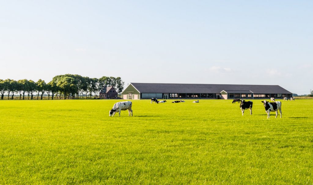 Hoe rechtszeker is jouw natuurvergunning?