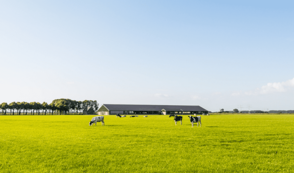 Provincies publiceren nieuwe beleidsregels over stikstof