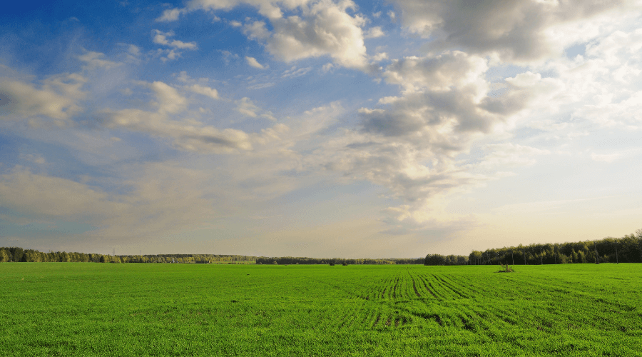 Stikstofdrempel voorlopig van de baan