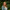 Neem contact op met Rozemarijn Rietberg