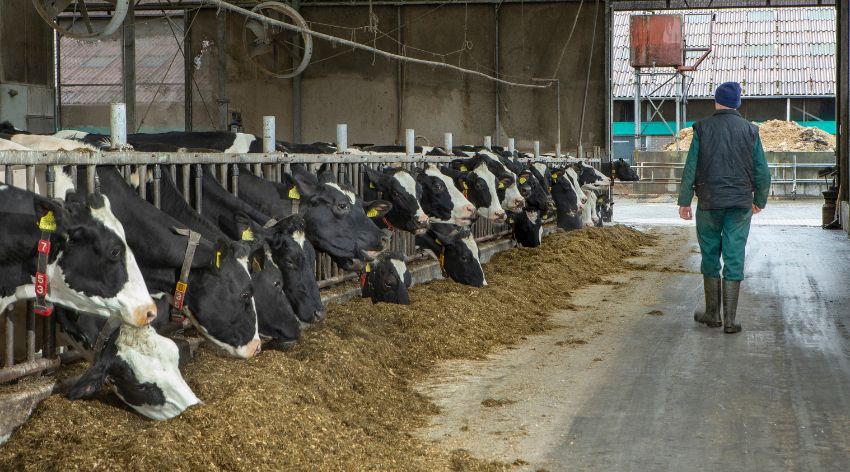 Nieuwe maatwerkaanpak voor PAS-melders: wat verandert er voor jouw bedrijf?