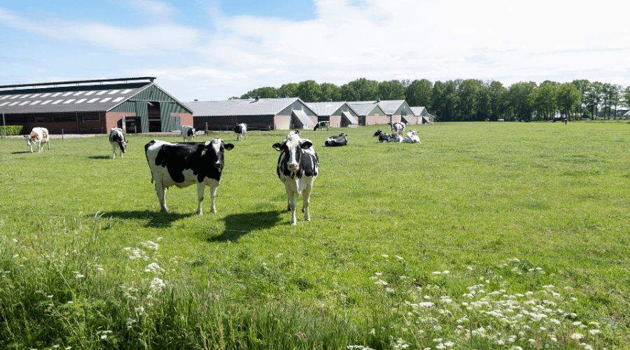Latente ruimte vervalt in Noord-Brabant