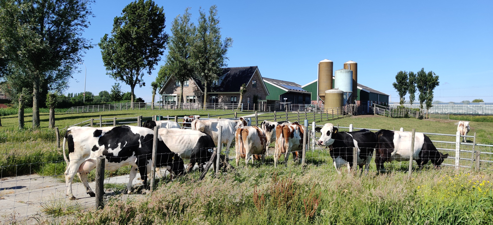 Milieucontouren: plicht, maar ook bescherming van je bedrijf