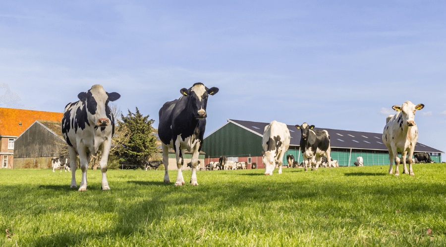 LBV+ en Rood voor Rood: kun je deze regelingen combineren?