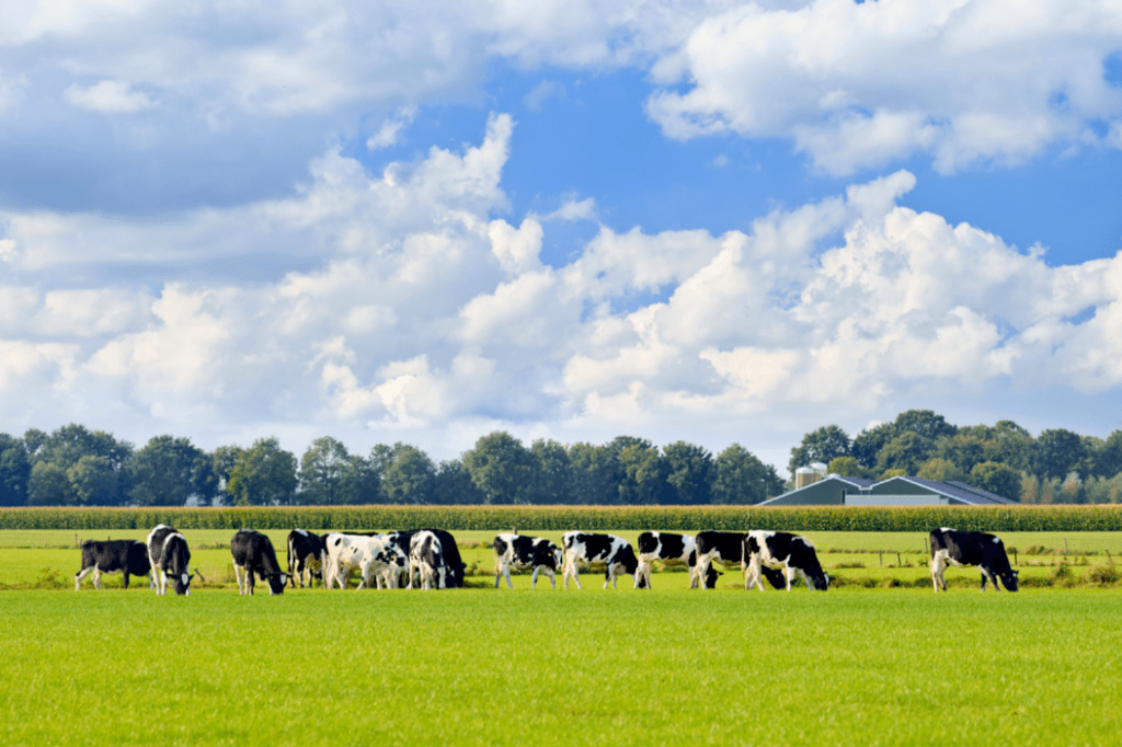 Chaos in stikstofland: hoe zit het met extern salderen?